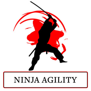 Ninja Agility-seminole ninja gym