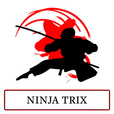 Ninja Trix-seminole ninja gym